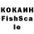 Галлюциногенные грибы Psilocybine cubensis Elxan Kerimov