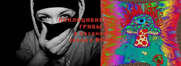 бошки Белокуриха